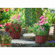 Gazony